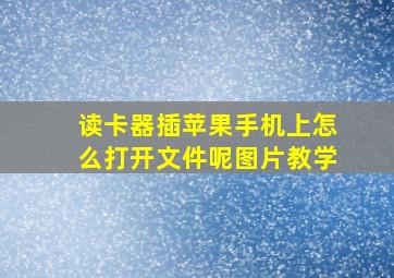 读卡器插苹果手机上怎么打开文件呢图片教学