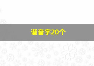 谐音字20个