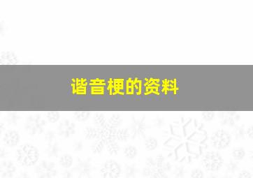 谐音梗的资料