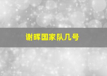 谢晖国家队几号