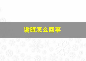 谢晖怎么回事