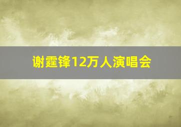 谢霆锋12万人演唱会