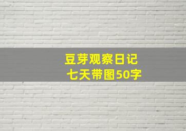 豆芽观察日记七天带图50字