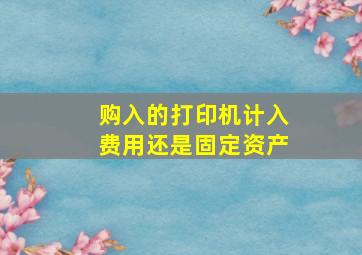 购入的打印机计入费用还是固定资产