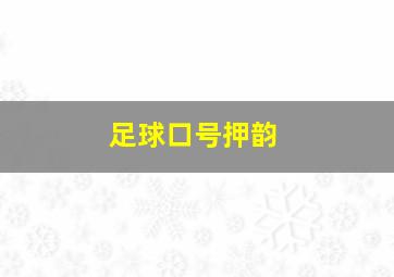 足球口号押韵