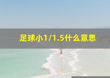 足球小1/1.5什么意思