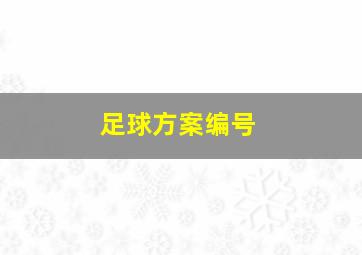 足球方案编号