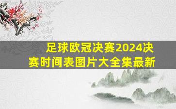 足球欧冠决赛2024决赛时间表图片大全集最新