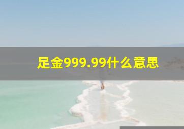 足金999.99什么意思