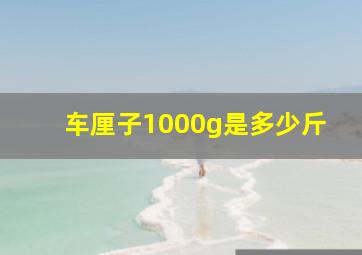 车厘子1000g是多少斤