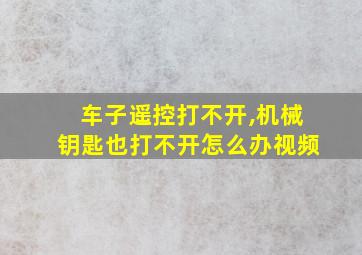 车子遥控打不开,机械钥匙也打不开怎么办视频