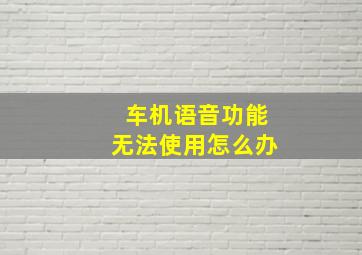 车机语音功能无法使用怎么办