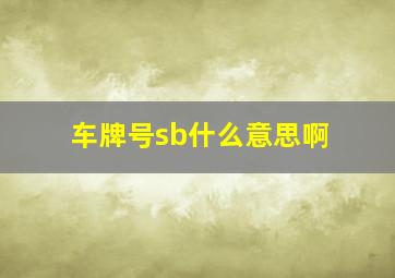 车牌号sb什么意思啊