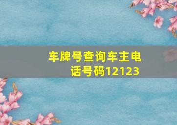 车牌号查询车主电话号码12123