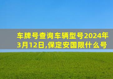 车牌号查询车辆型号2024年3月12日,保定安国限什么号