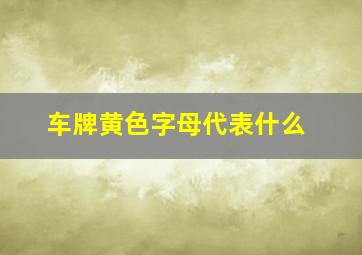 车牌黄色字母代表什么