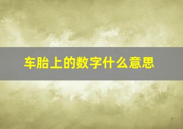 车胎上的数字什么意思