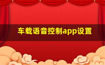 车载语音控制app设置