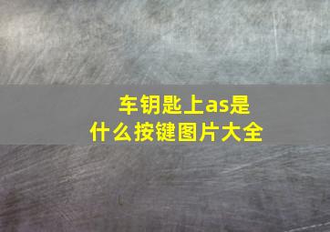 车钥匙上as是什么按键图片大全