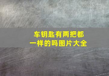 车钥匙有两把都一样的吗图片大全