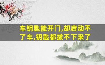 车钥匙能开门,却启动不了车,钥匙都拔不下来了