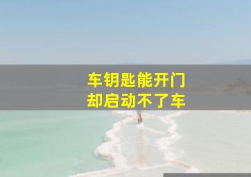 车钥匙能开门却启动不了车