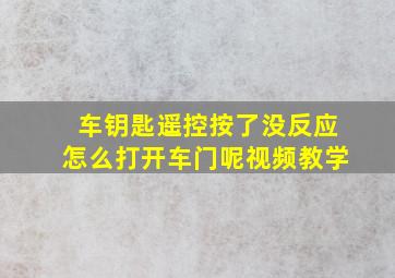 车钥匙遥控按了没反应怎么打开车门呢视频教学