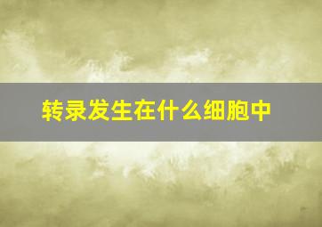 转录发生在什么细胞中