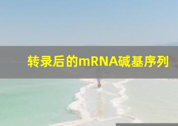 转录后的mRNA碱基序列