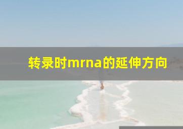 转录时mrna的延伸方向