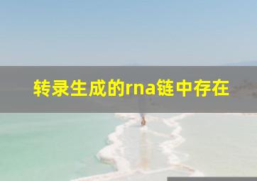 转录生成的rna链中存在