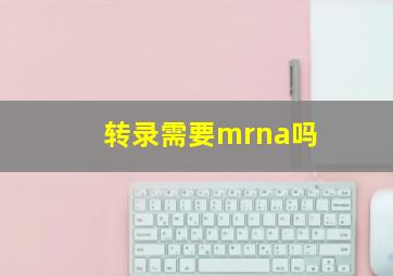 转录需要mrna吗