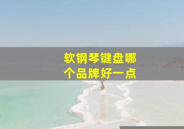 软钢琴键盘哪个品牌好一点