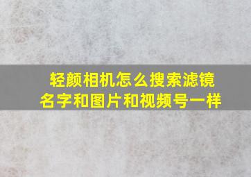 轻颜相机怎么搜索滤镜名字和图片和视频号一样