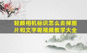 轻颜相机标识怎么去掉图片和文字呢视频教学大全