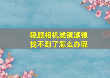 轻颜相机滤镜滤镜找不到了怎么办呢