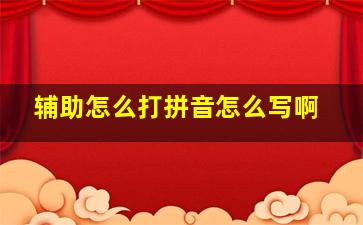 辅助怎么打拼音怎么写啊