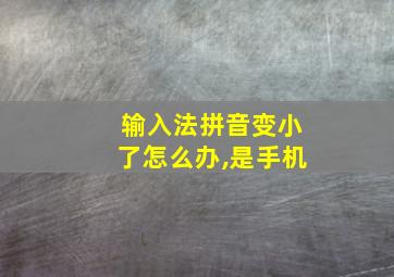 输入法拼音变小了怎么办,是手机