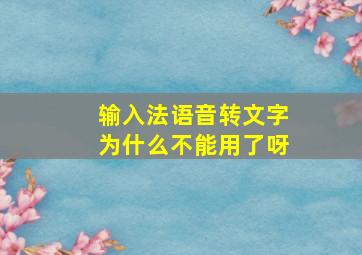 输入法语音转文字为什么不能用了呀