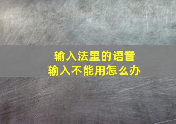 输入法里的语音输入不能用怎么办