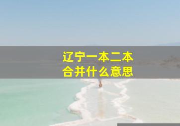 辽宁一本二本合并什么意思