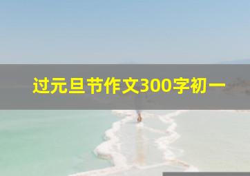 过元旦节作文300字初一