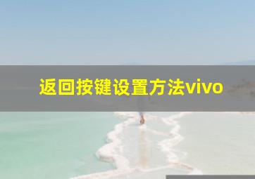 返回按键设置方法vivo