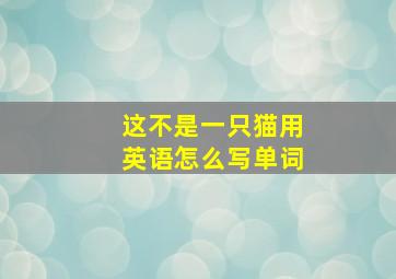 这不是一只猫用英语怎么写单词