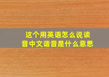 这个用英语怎么说读音中文谐音是什么意思