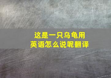 这是一只乌龟用英语怎么说呢翻译