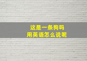 这是一条狗吗用英语怎么说呢