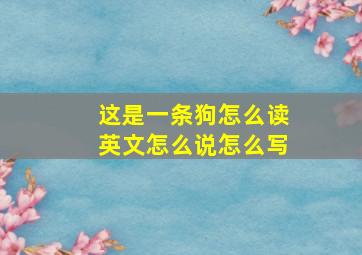 这是一条狗怎么读英文怎么说怎么写