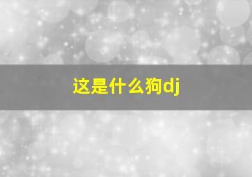 这是什么狗dj