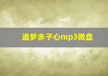 追梦赤子心mp3微盘